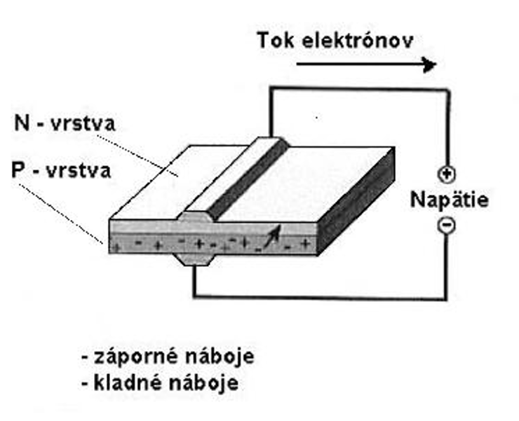 pnprecho.png