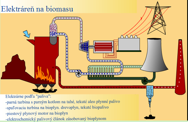 biomasa.png